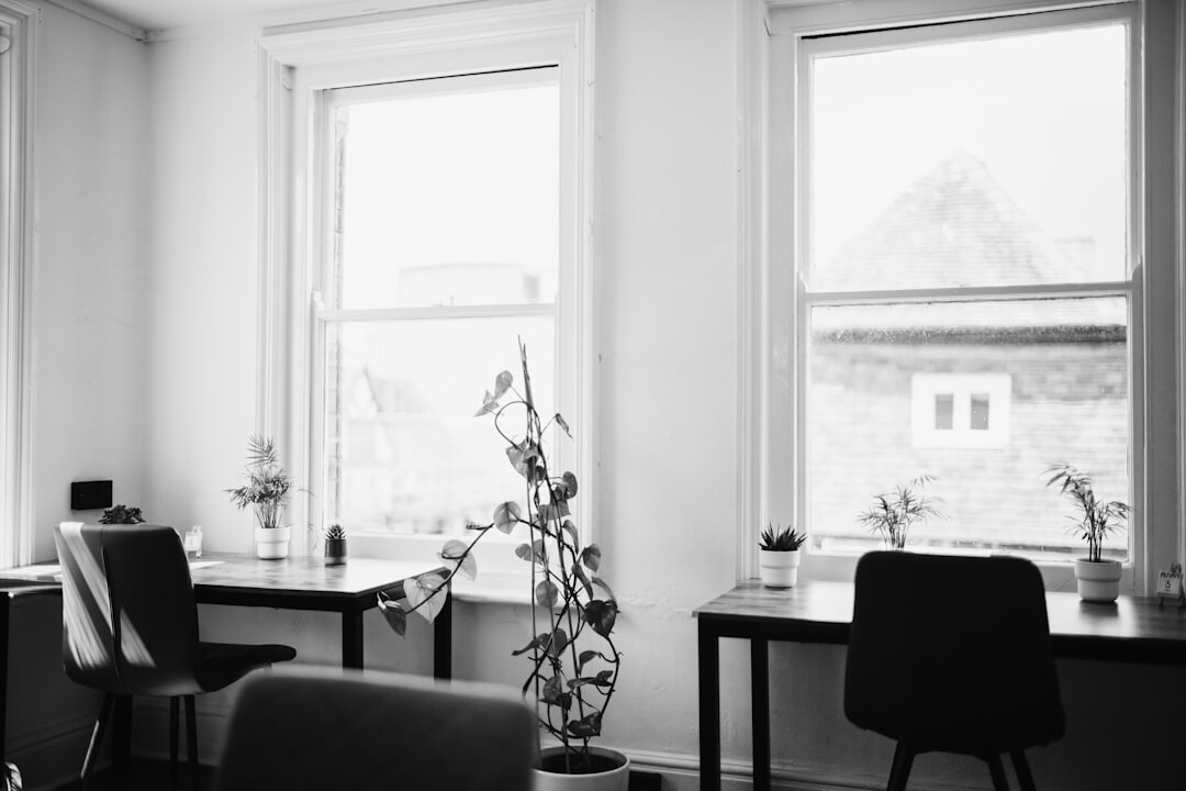 Two chairs facing each other near a window